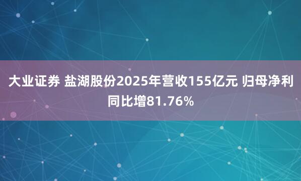 大业证券 盐湖股份2025年营收155亿元 归母净利同比增81.76%